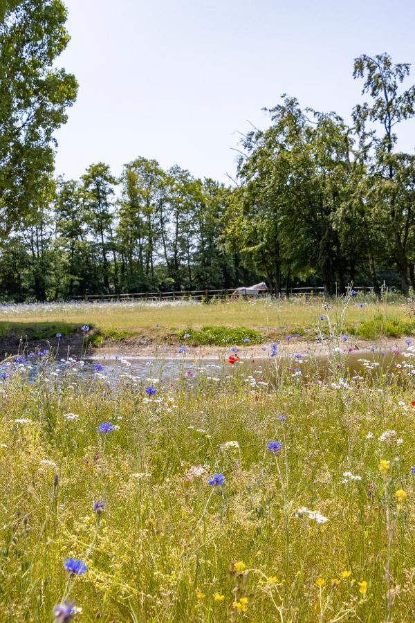 Equilodge 't Blommeke - Reconnect With Nature Villa Bruges
