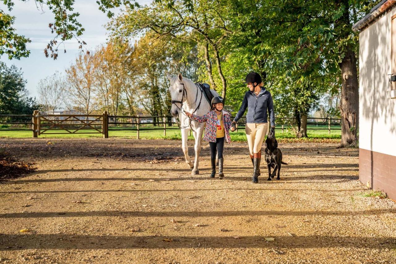 Equilodge 't Blommeke - Reconnect With Nature