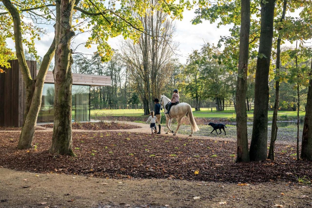 Equilodge 't Blommeke - Reconnect With Nature * Bruges