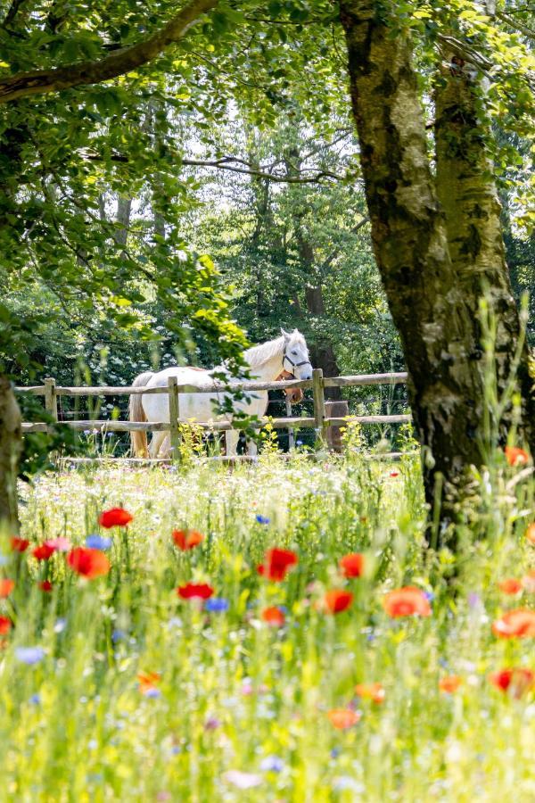 Equilodge 't Blommeke - Reconnect With Nature * Bruges